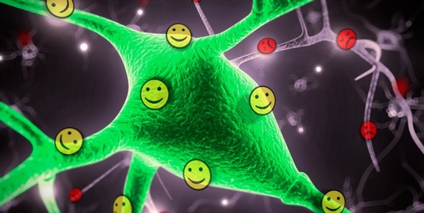 How the brain tells good from bad – Tye Laboratory