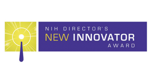 nih-director-award